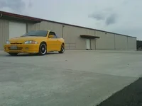 cavy2.webp