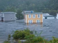 flood.webp
