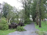 Bannerman Park.webp