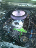 IMG00284-20101009-1932.webp