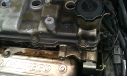 IMAG0067.webp IMAG0067.webp