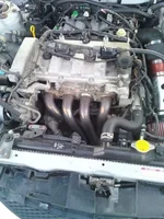 New Image2.webp