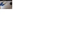205.webp