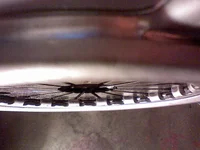 1113002110.webp 1113002110.webp