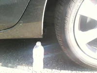 Stock_Rear.webp