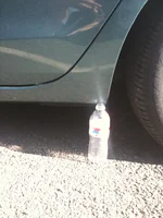Maz94_MS3Spring_Rear.webp