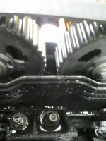 P12-09-10_12.37.webp