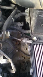 IMAG0016.webp