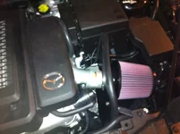 photo 5.webp