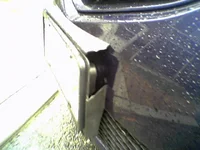 Picture003.webp