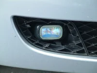 closeup.webp