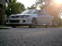 Picture 218.webp