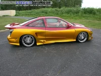 baddest cavy ever2.webp