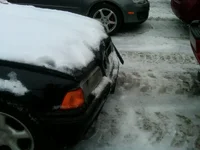 IMG00935-20110201-0826.webp
