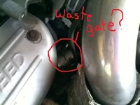 EndsHereWG.webp