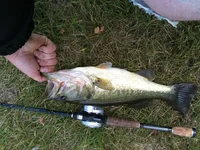 photo.webp