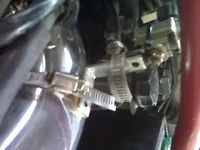 IMG00710.webp IMG00710.webp