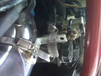 IMG00713.webp IMG00713.webp