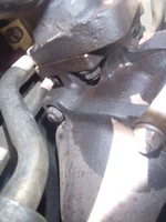 P4240472.webp