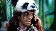 panda.webp