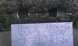 IMAG0163.webp