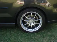 P4299231.webp