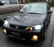 DSC00244.webp