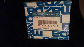 IMAG0117.webp
