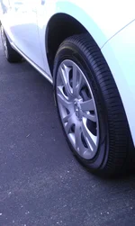 IMAG0019.webp