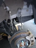 DSCN0031 (480x640).webp