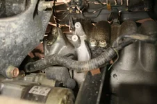 EGR_1.webp