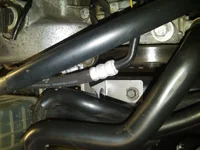 IMG00456-20110609-1956.webp