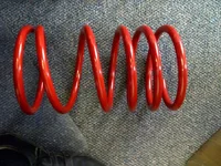 Front Spring.webp