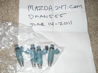 DSCN0560.webp