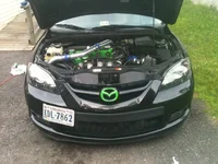 photo 1.webp
