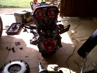 IMG00068-20110110-1338.webp