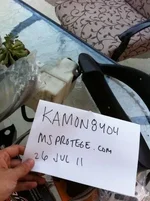 gauge surround, coolant tank.webp