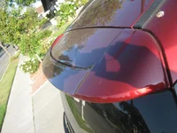 IMG_8744.webp