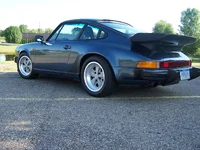 911 gray Fuchs.webp