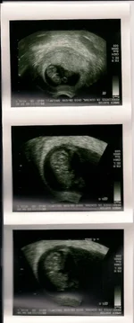 Scan_Pic0001.webp