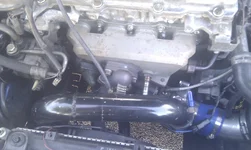 IMAG0009.webp