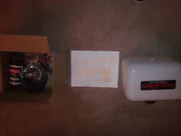 WP_000273.webp