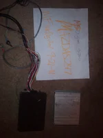 WP_000270.webp