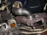 DSCN5308.webp