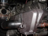 DSCN5309.webp