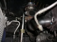 DSCN5307.webp