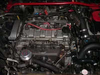 DSCN5319.webp