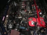 DSCN5320.webp