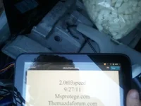 7.webp
