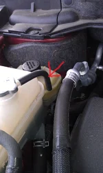 IMAG0223.webp